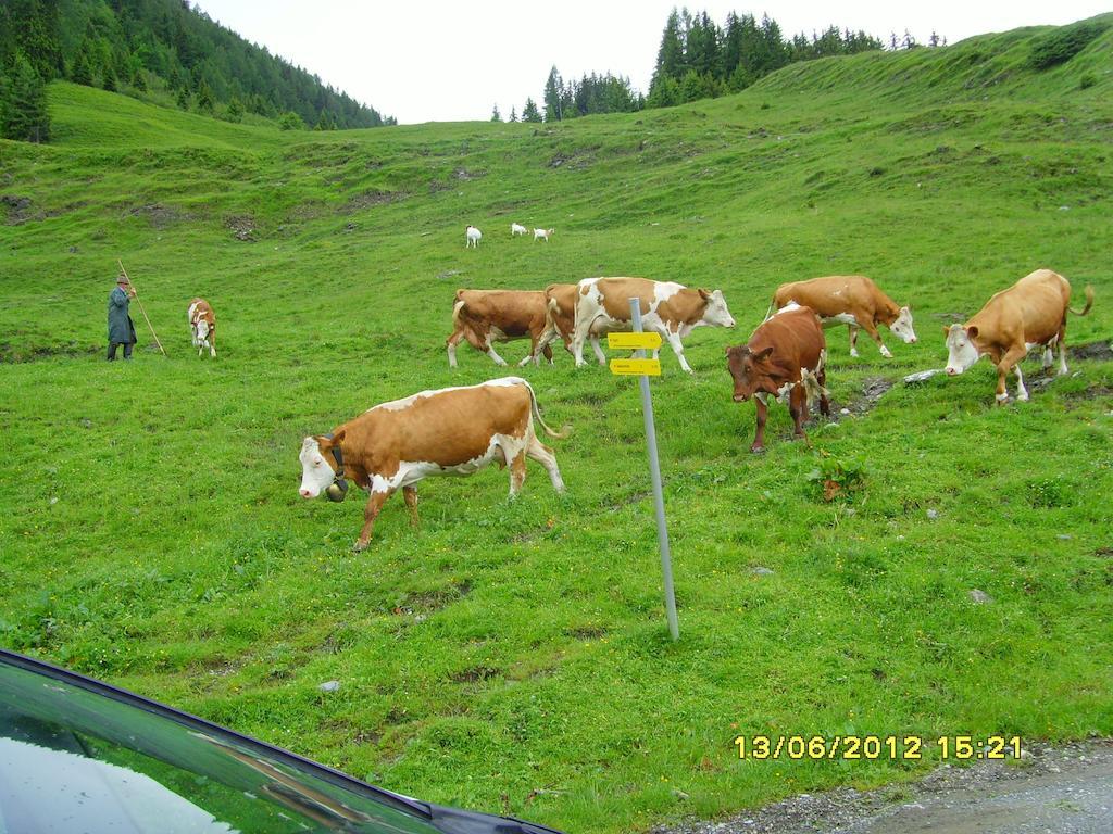 Hotel Feriendorf Ponyhof Fusch an der Grossglocknerstrasse Exterior foto